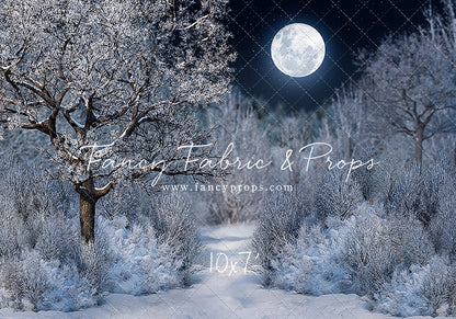 Frosty Winter Night - with Sweep Option