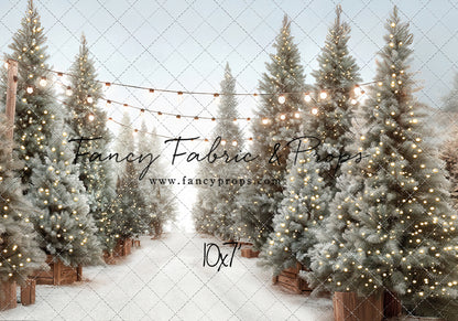 Holiday Tree Lot - with Sweep Option