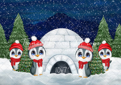 North Pole Buddy Patrol