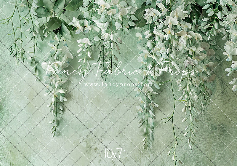 Painted White Wisteria