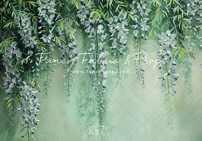 Painted Wisteria