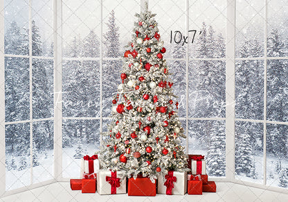 Red & White Winter Evergreens