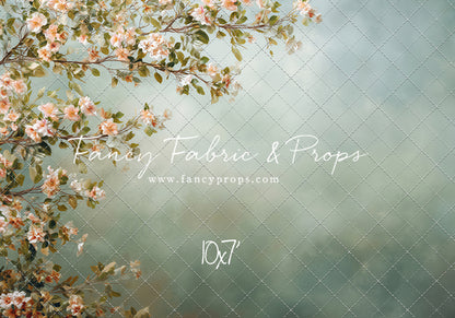 Spring Lattice - With Sweep Option