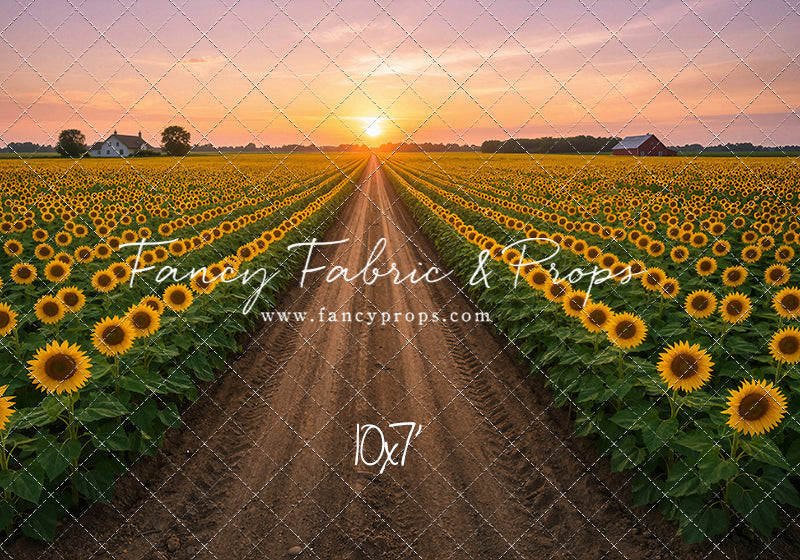 Sunflower Road - With Sweep Option