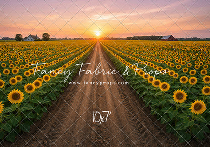 Sunflower Road - With Sweep Option