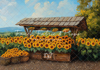 Sunshine Stall - With Sweep Option