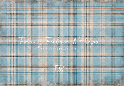 Winter Sky Gingham - With Sweep Option