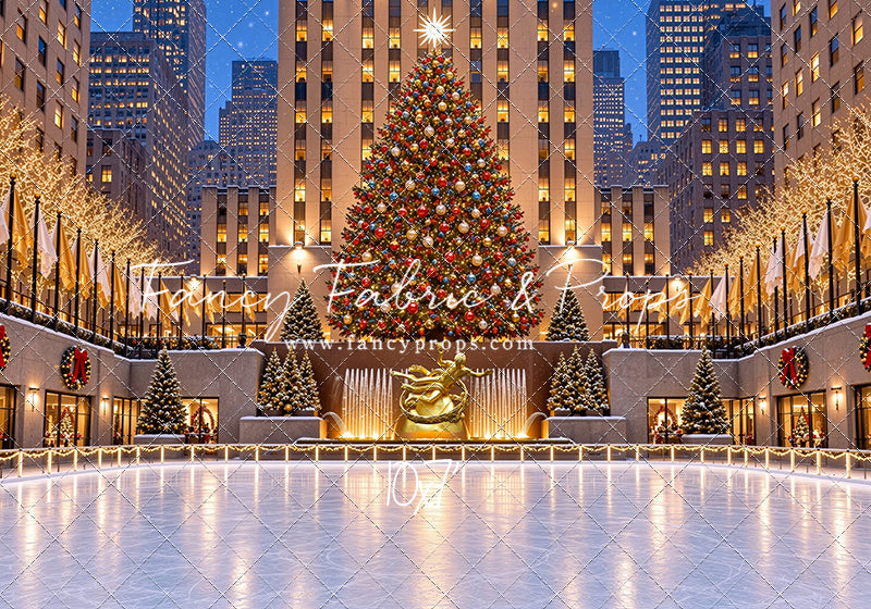 Wintertime Skating Rink - with Sweep Option