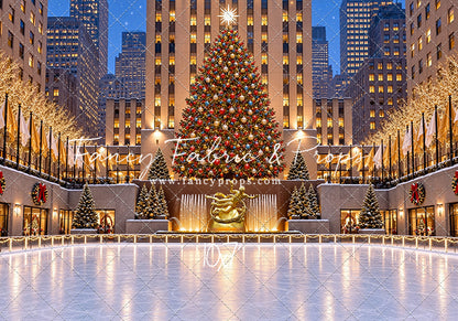 Wintertime Skating Rink - with Sweep Option