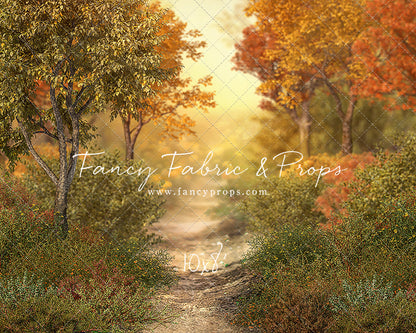 Autumn Forest Path - Room