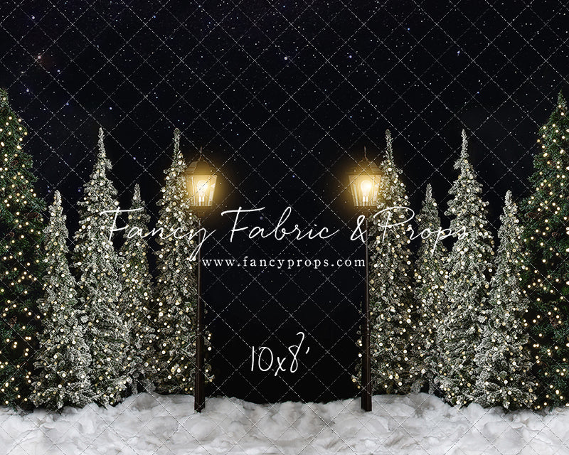 Christmas Forest Path