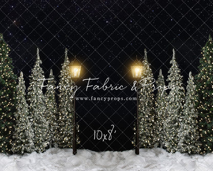 Christmas Forest Path