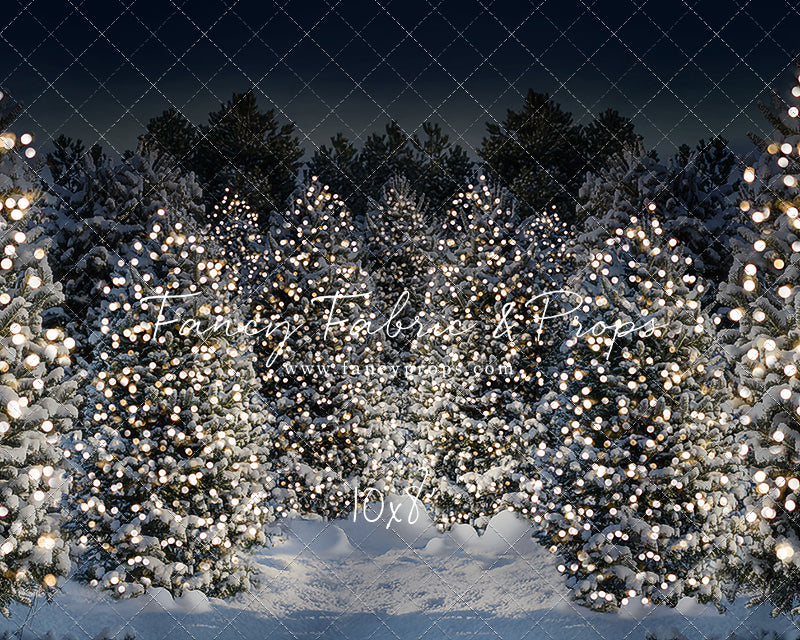 Evening Snowy Winter Tree Farm - No Gate