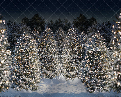 Evening Glimmering Tree Farm 2pc Room