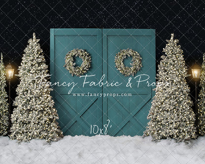 Fancy Blue Barn Doors