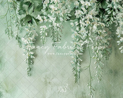 Painted White Wisteria