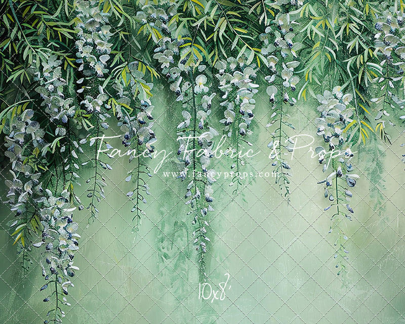 Painted Wisteria