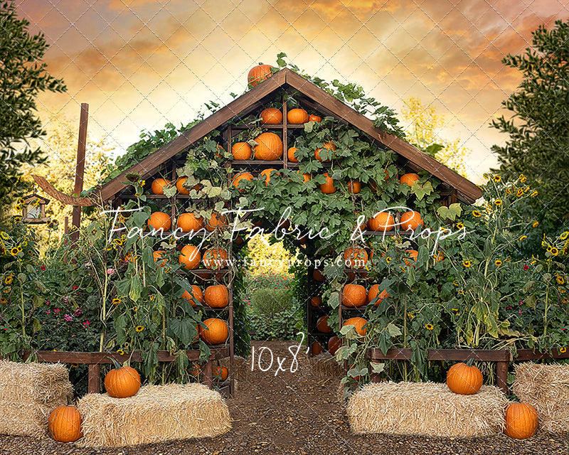 Pumpkin House