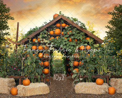 Pumpkin House - 2pc Set