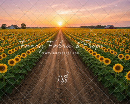 Sunflower Road - With Sweep Option