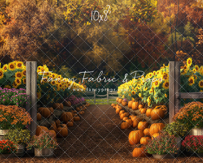 Sunflower Valley Trail - With Sweep Option