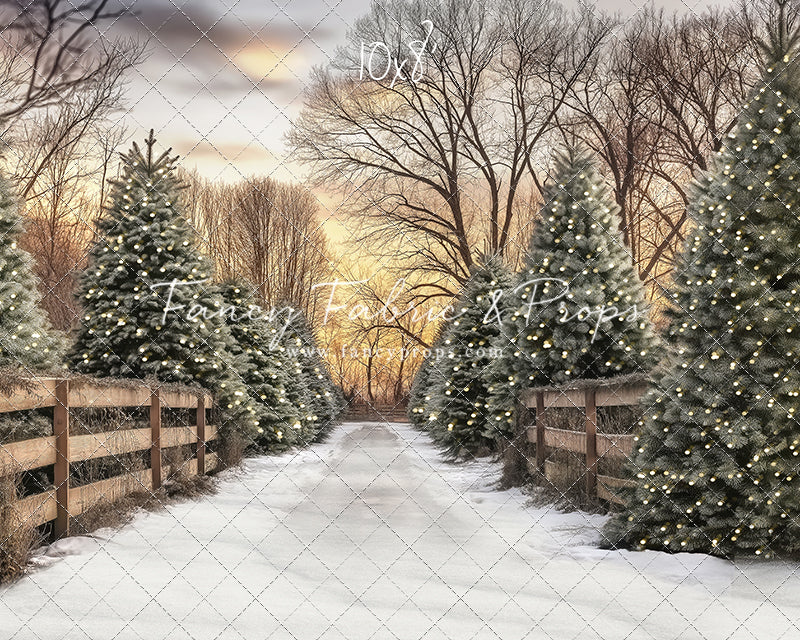 Twinkling Pines Trail - With Sweep Option