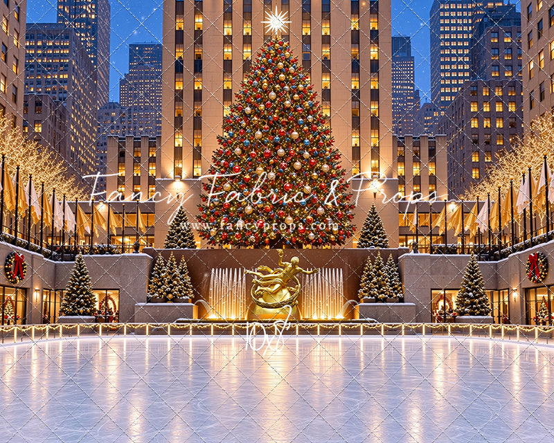 Wintertime Skating Rink - with Sweep Option