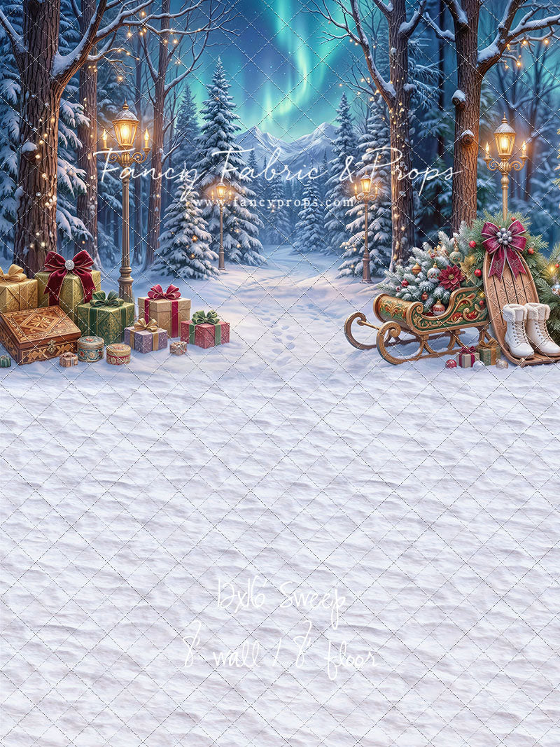 Aurora Winter Walk - with Sweep Option