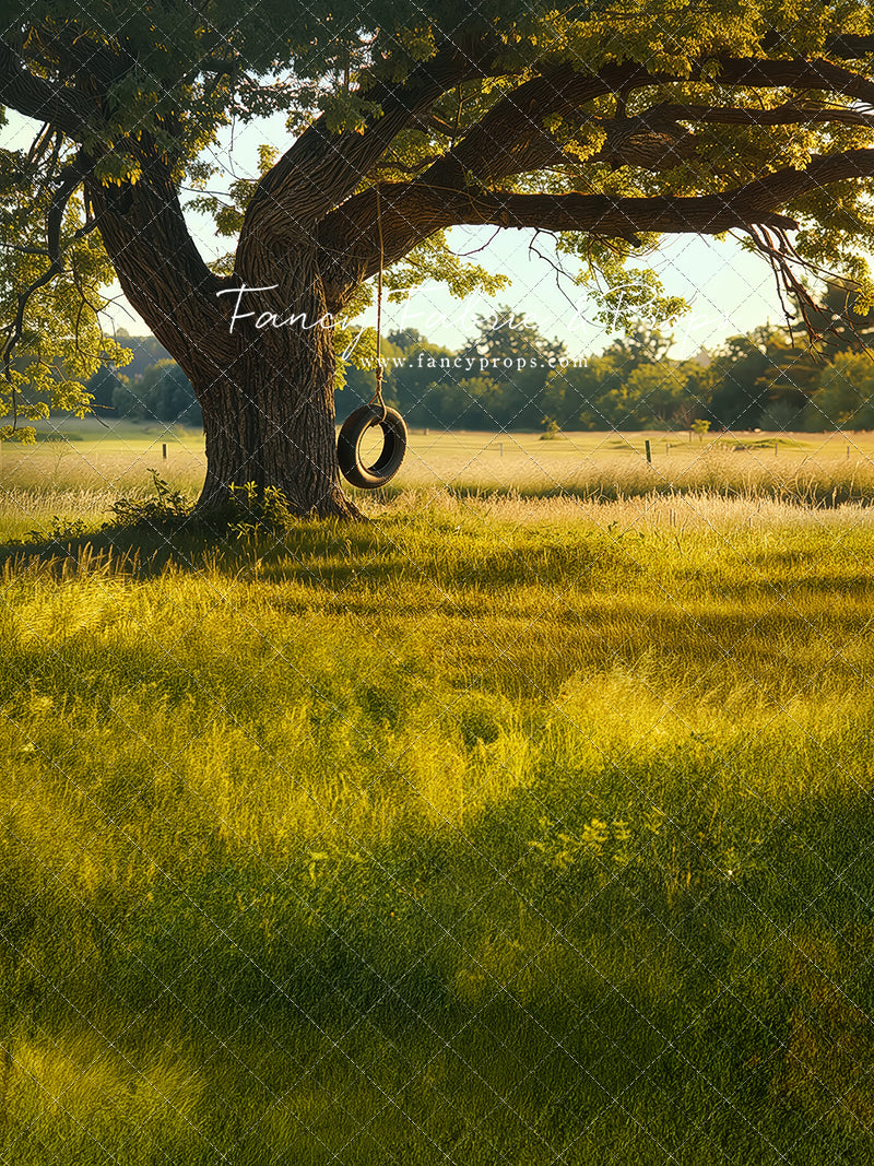 Childhood Tire Swing - with Sweep Option