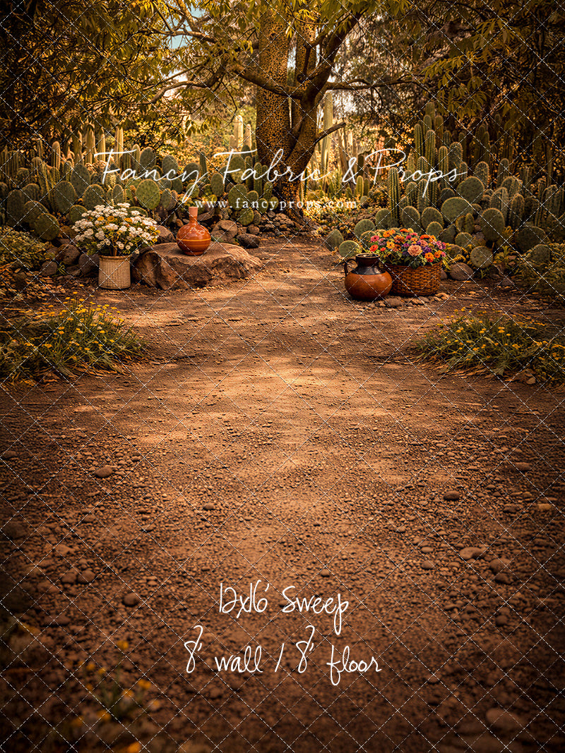 Sunlit Cactus Garden - With Sweep Option
