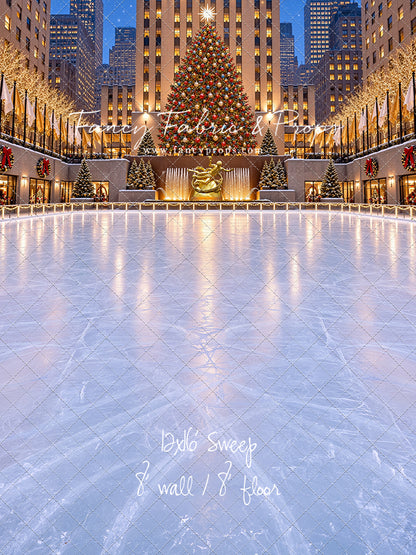 Wintertime Skating Rink - with Sweep Option