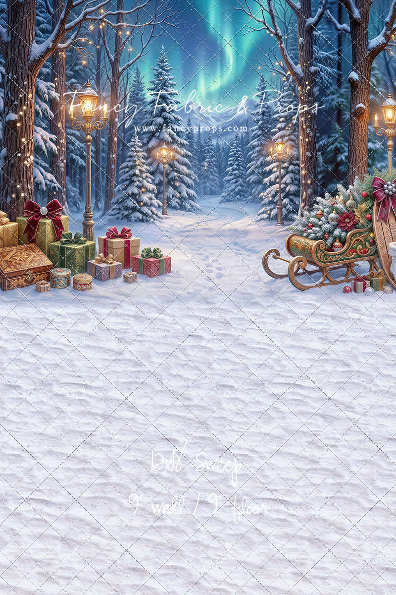 Aurora Winter Walk - with Sweep Option