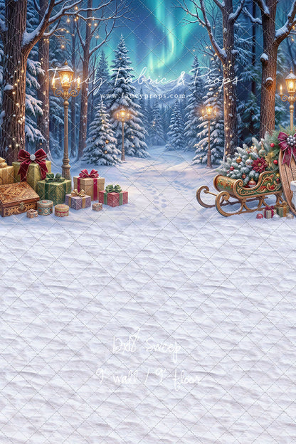 Aurora Winter Walk - with Sweep Option