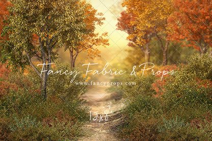 Autumn Forest Path - With Sweep Option
