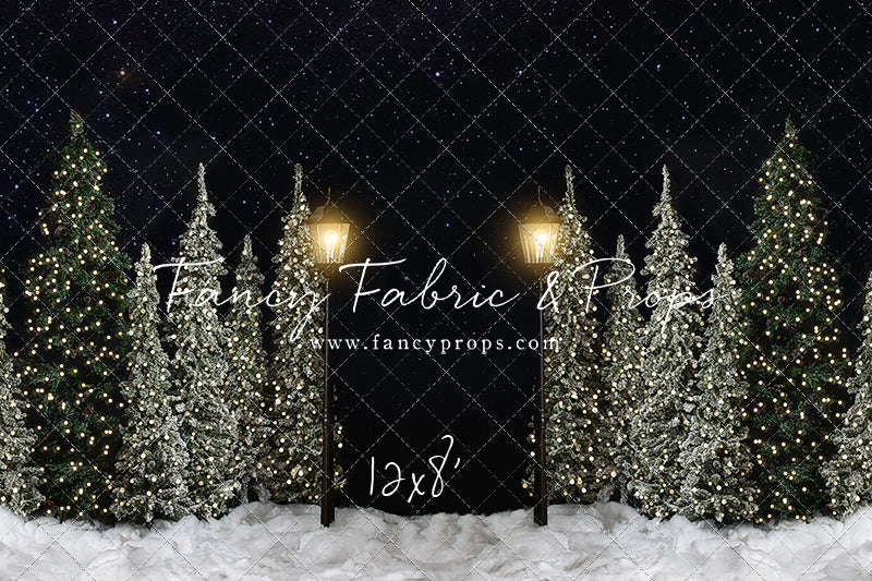 Christmas Forest Path