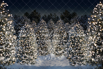 Evening Snowy Winter Tree Farm - No Gate