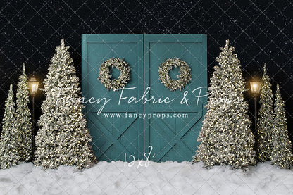 Fancy Blue Barn Doors 2pc Room