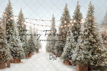 Holiday Tree Lot - with Sweep Option
