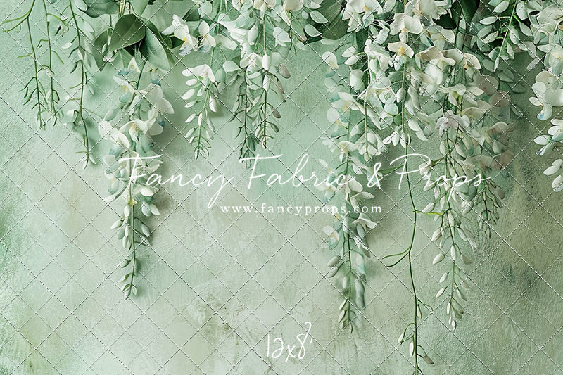 Painted White Wisteria