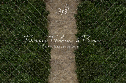 Rapunzel's Tower Path Mat Floor