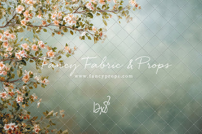 Spring Lattice - With Sweep Option