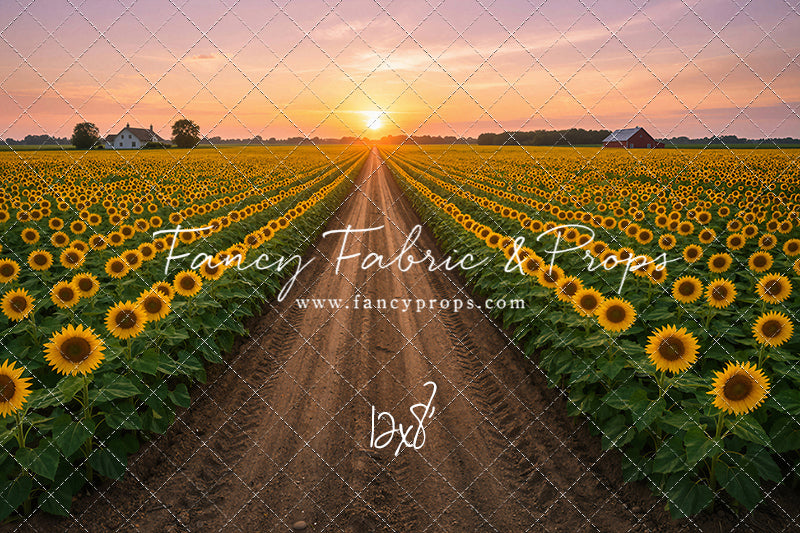 Sunflower Road - With Sweep Option