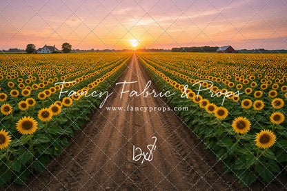 Sunflower Road - With Sweep Option