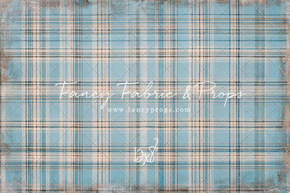 Winter Sky Gingham - With Sweep Option