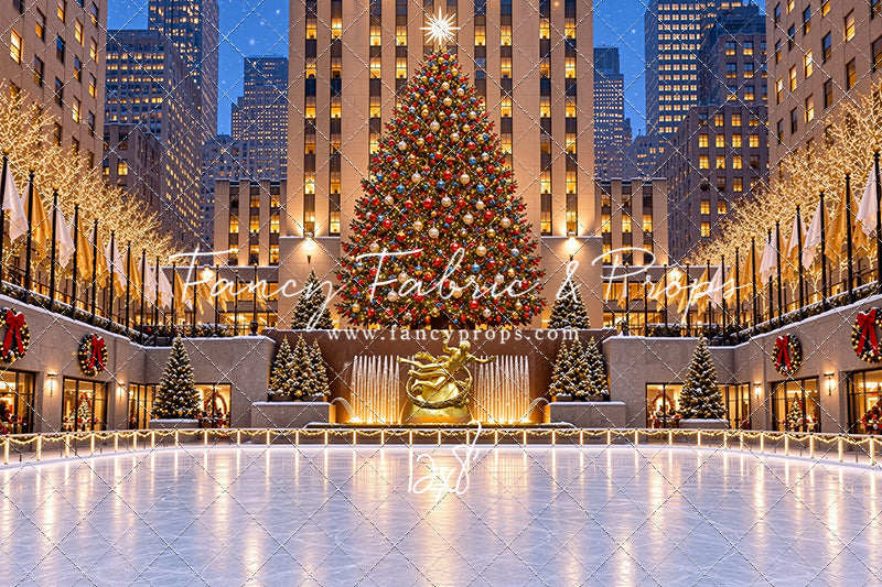 Wintertime Skating Rink - with Sweep Option