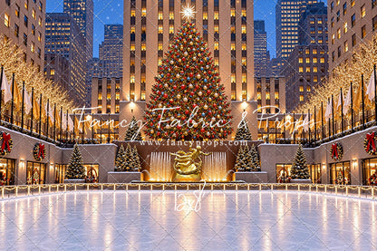 Wintertime Skating Rink - with Sweep Option