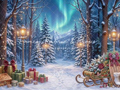 Aurora Winter Walk - with Sweep Option