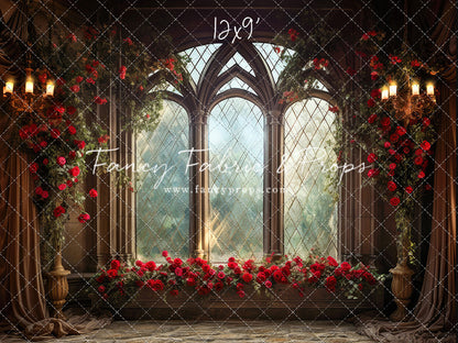 Belle's Castle Window