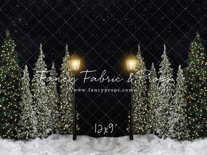 Christmas Forest Path