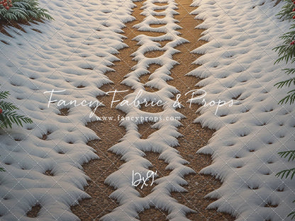 Christmas Path - Floor
